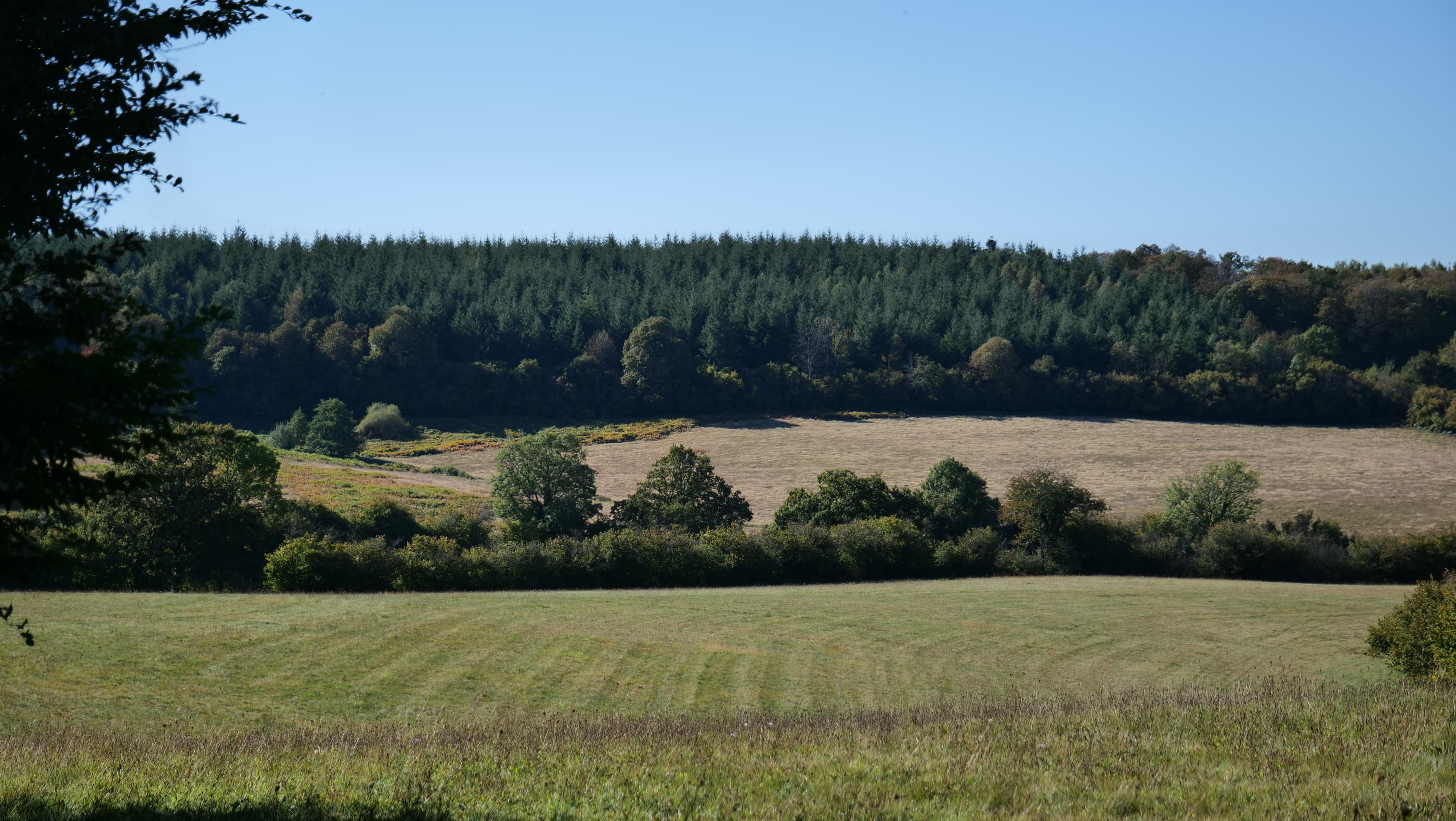 Groepen — sfeerbeeld van Domaine de Pierrefite